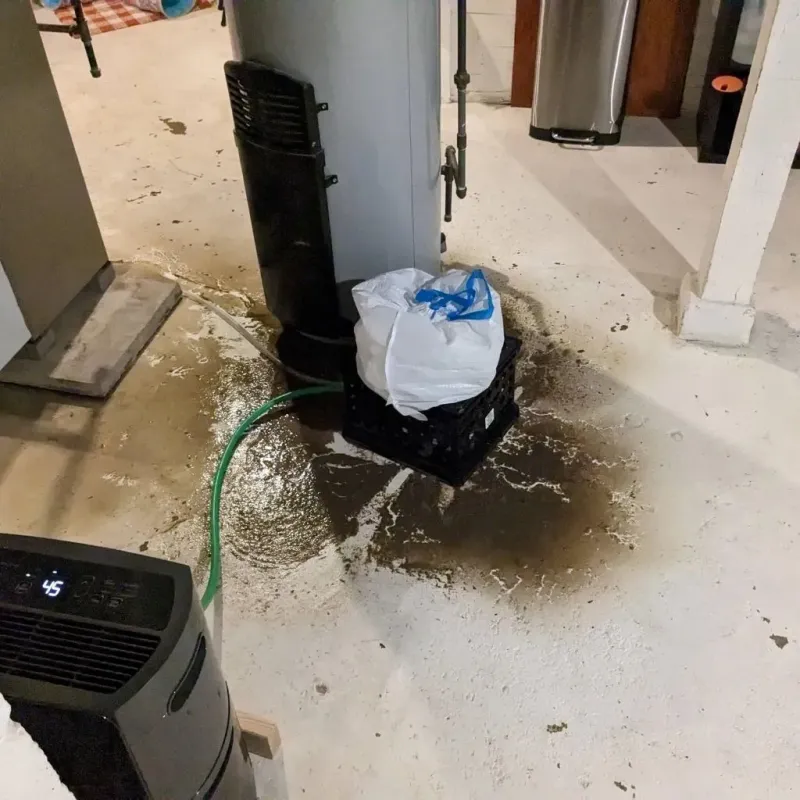Sewage Backup Cleanup Service in Lykens, PA